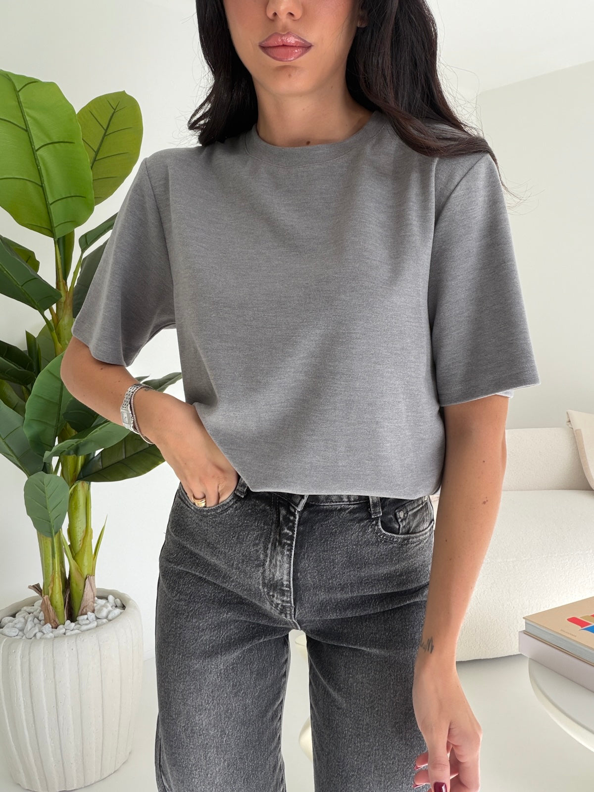 5862-T-SHIRT SPUGNETTA GREY