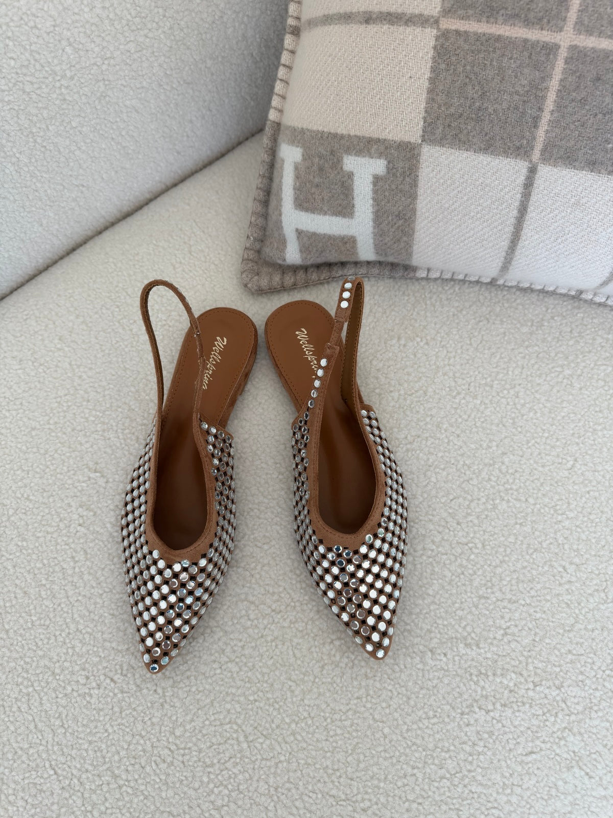 H152-CINZIA-CAMEL