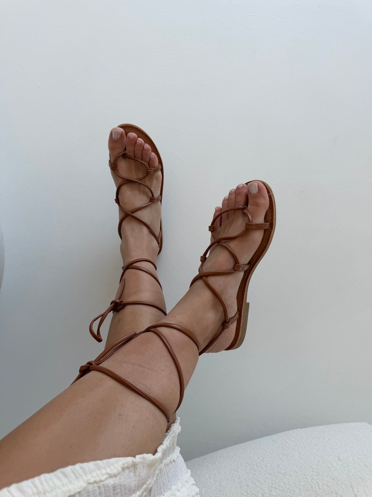 QQ-681-SUSY BISCOTTO