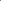 BLAZER EVERGREEN MAGENTA